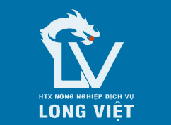 HTX Long Việt